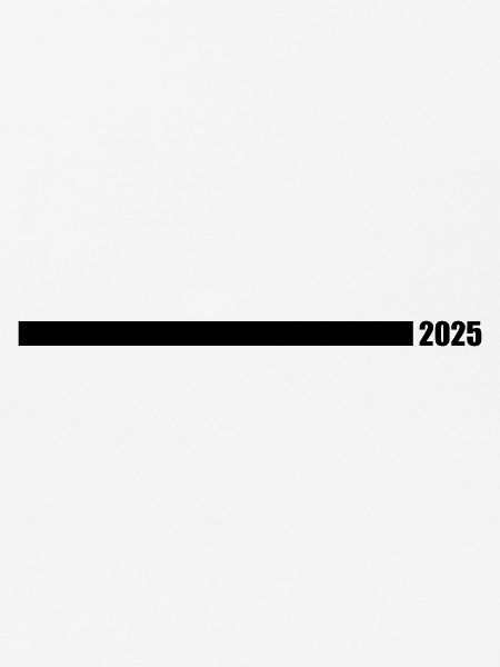 2025 year