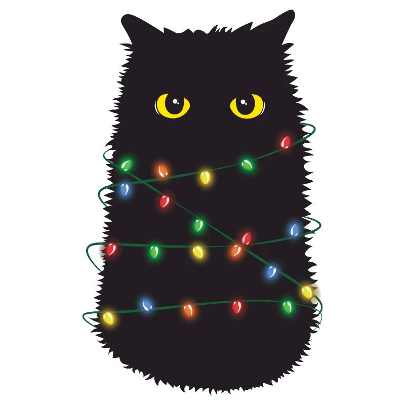 Gruseliges Katzen-Weihnachtsgeschenk