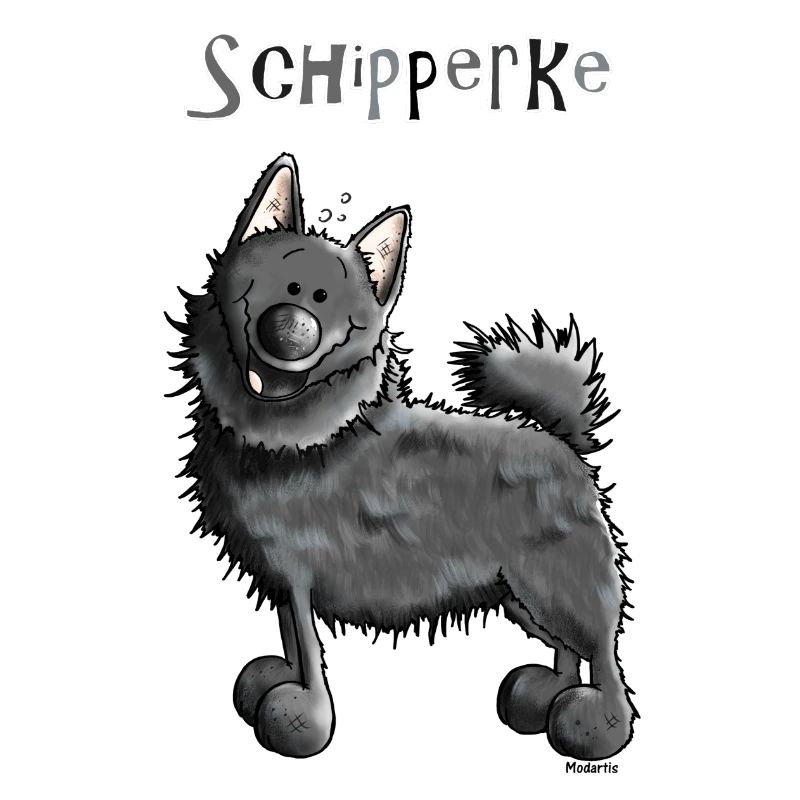 Witziger Schipperke - Hund