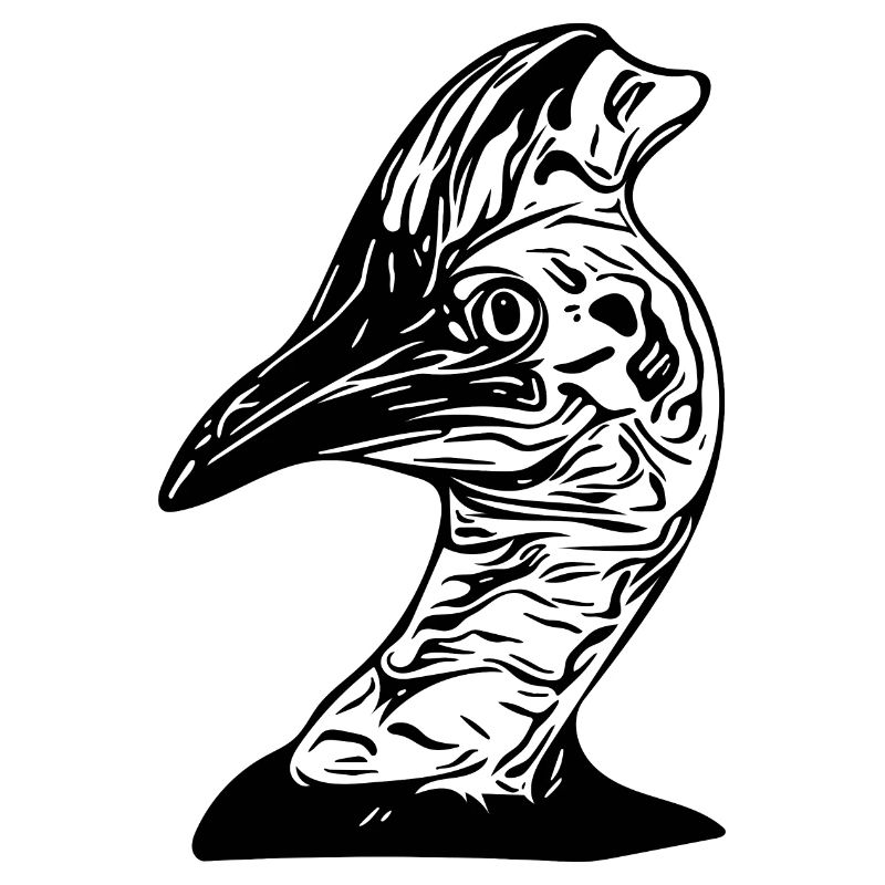 Australischer Kasuar Laufvogel