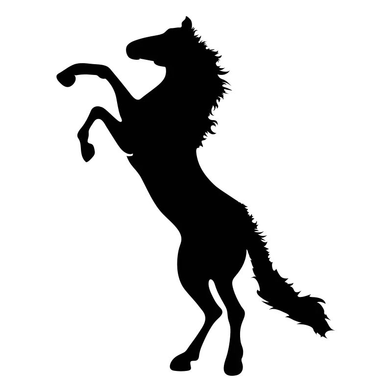 horse