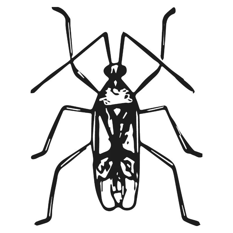 kaefer-01