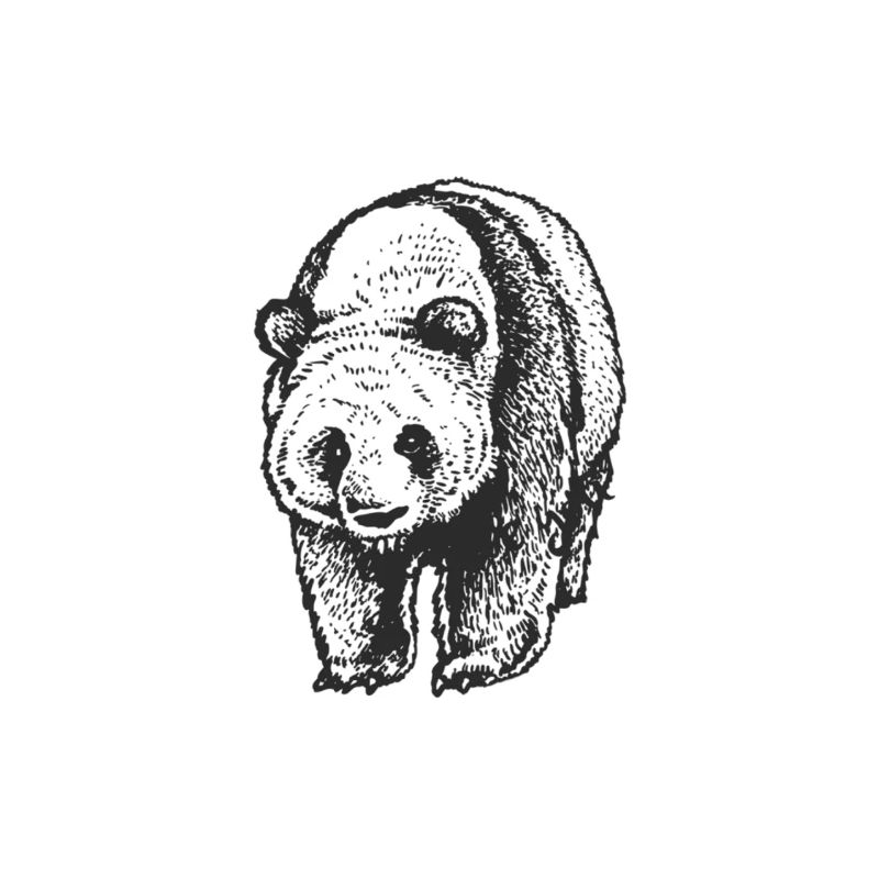 Bär