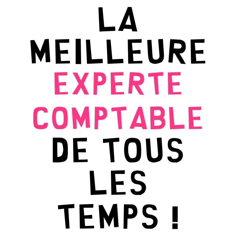 Expert Comptable / Comptabilité / Comptable /