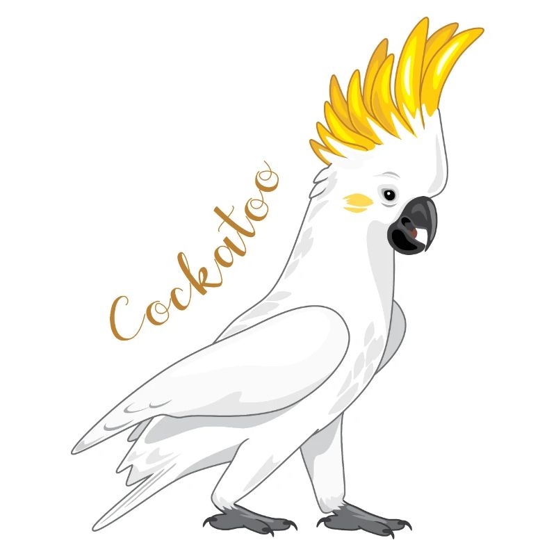 Cockatoo