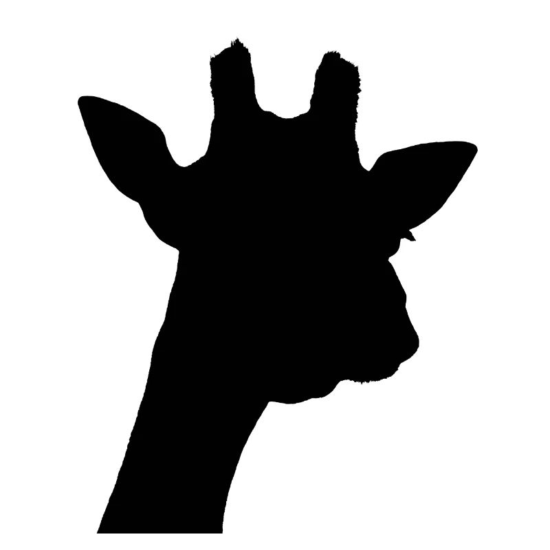 schwarze Giraffe