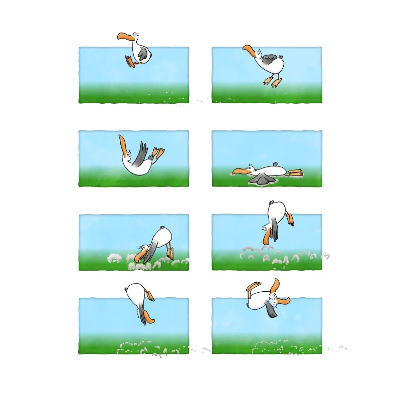 Landender Cartoon Albatros