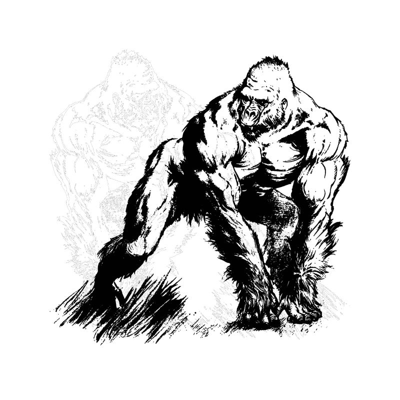 Gorilla BlancoyBlack