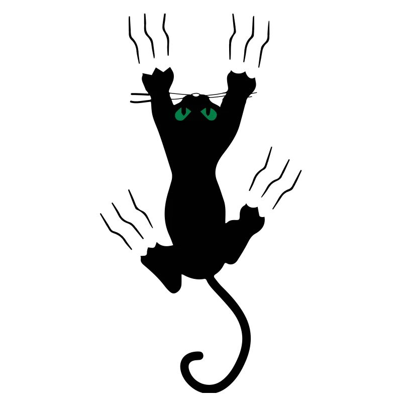 Katze