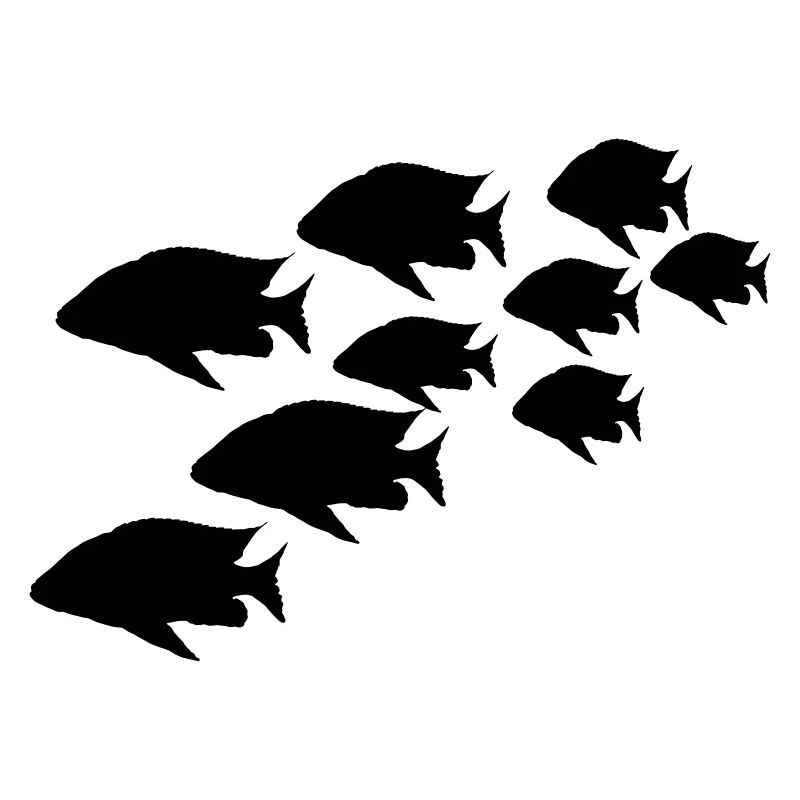 shoal