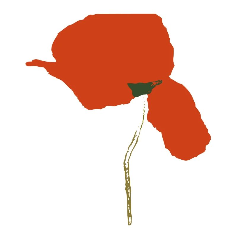 Klatschmohn