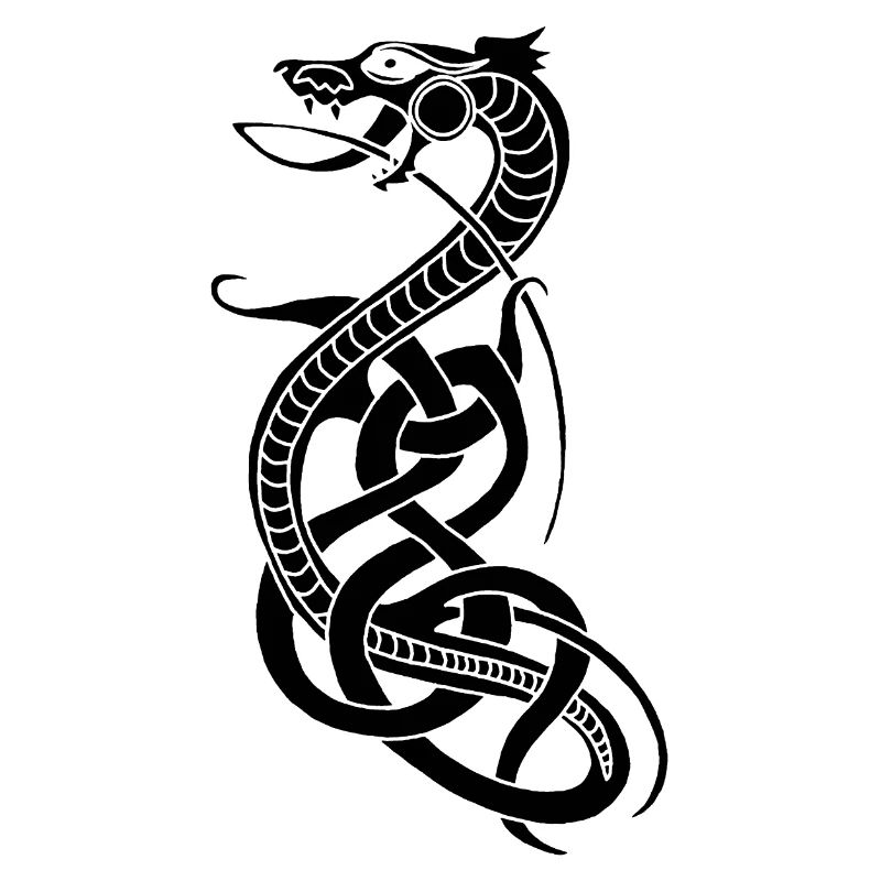 Infinite Black Snake