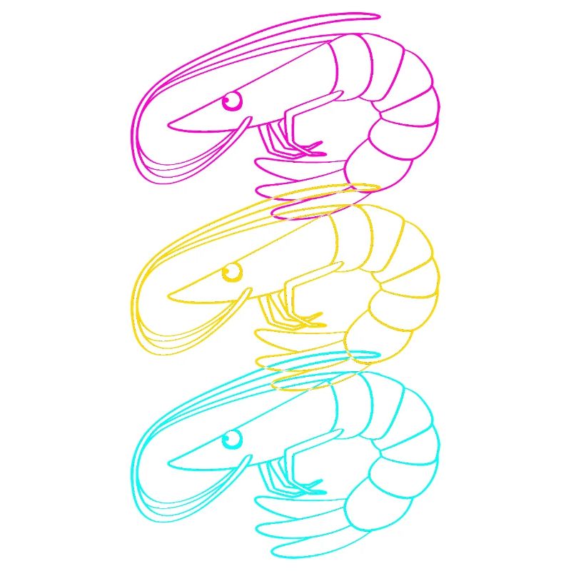 Shrimp Languste Meeresfrüchte Krabbe