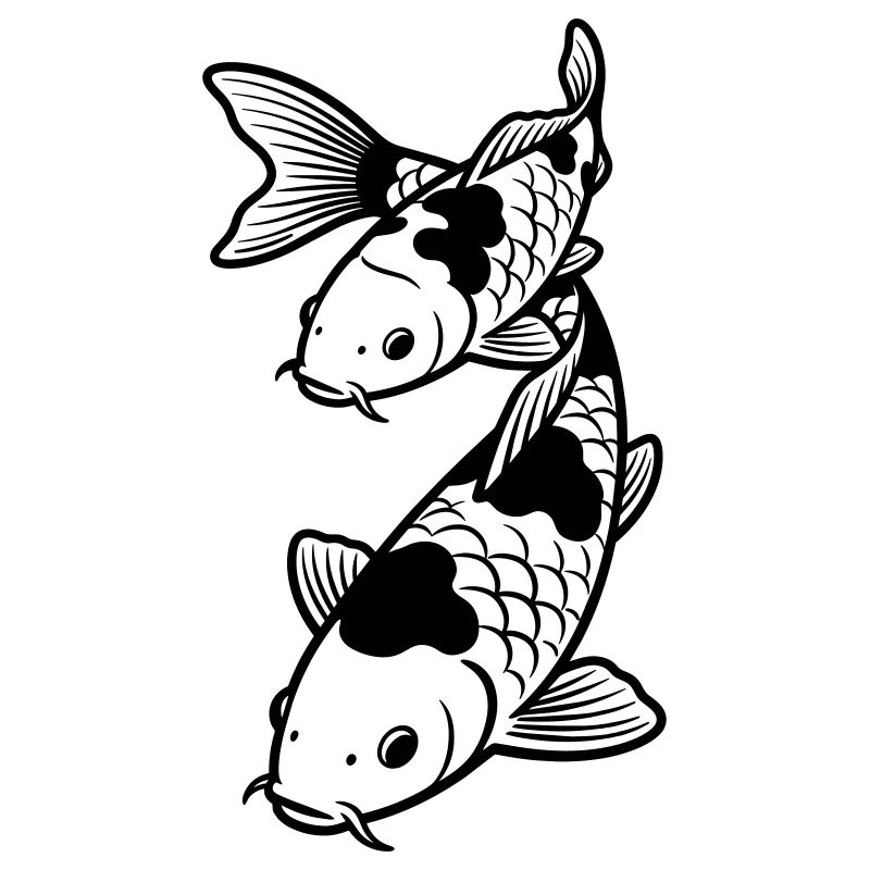 koi carp