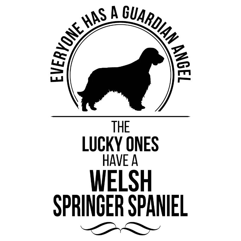 WELSH SPRINGER SPANIEL Ange gardien Wilsigns