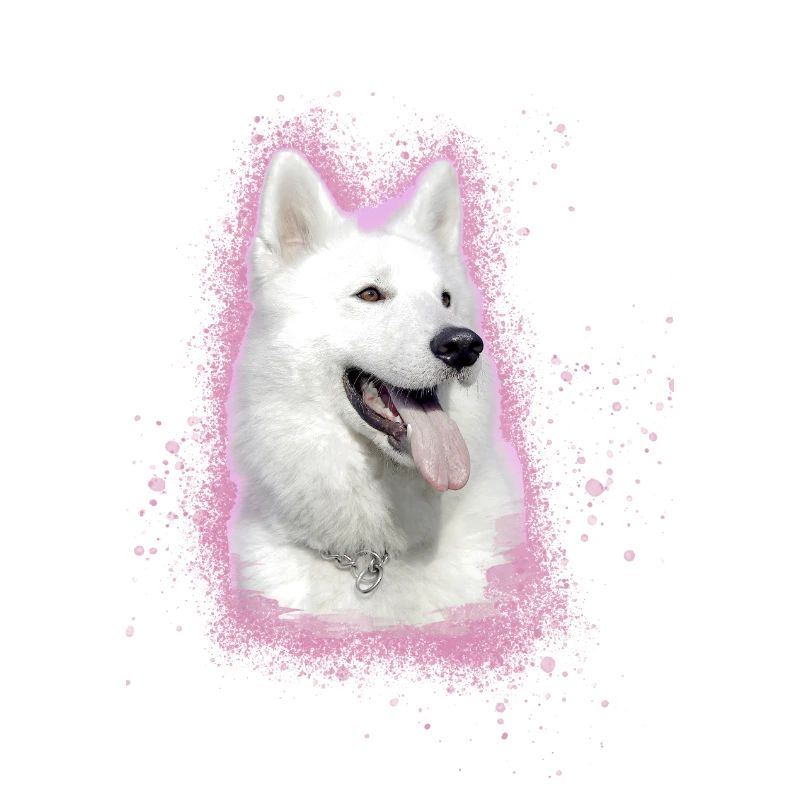 weisser schäferhund,schäferhund,hund,graffiti,rosa