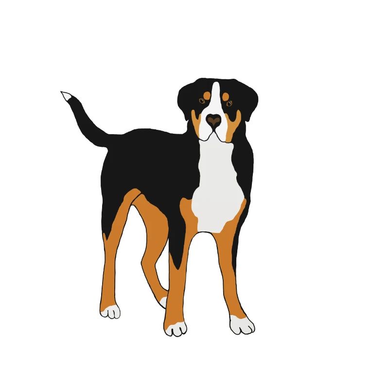 Großer Schweizer Sennenhund
