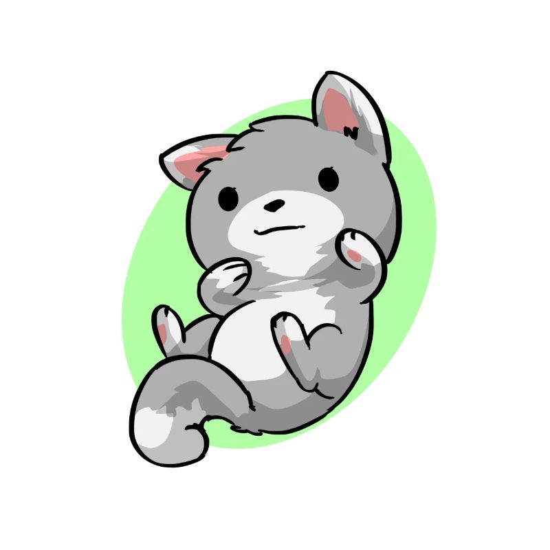 Baby Katze
