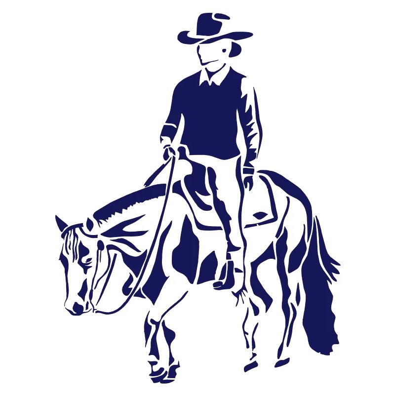 Freizeitpferd Westernreiter