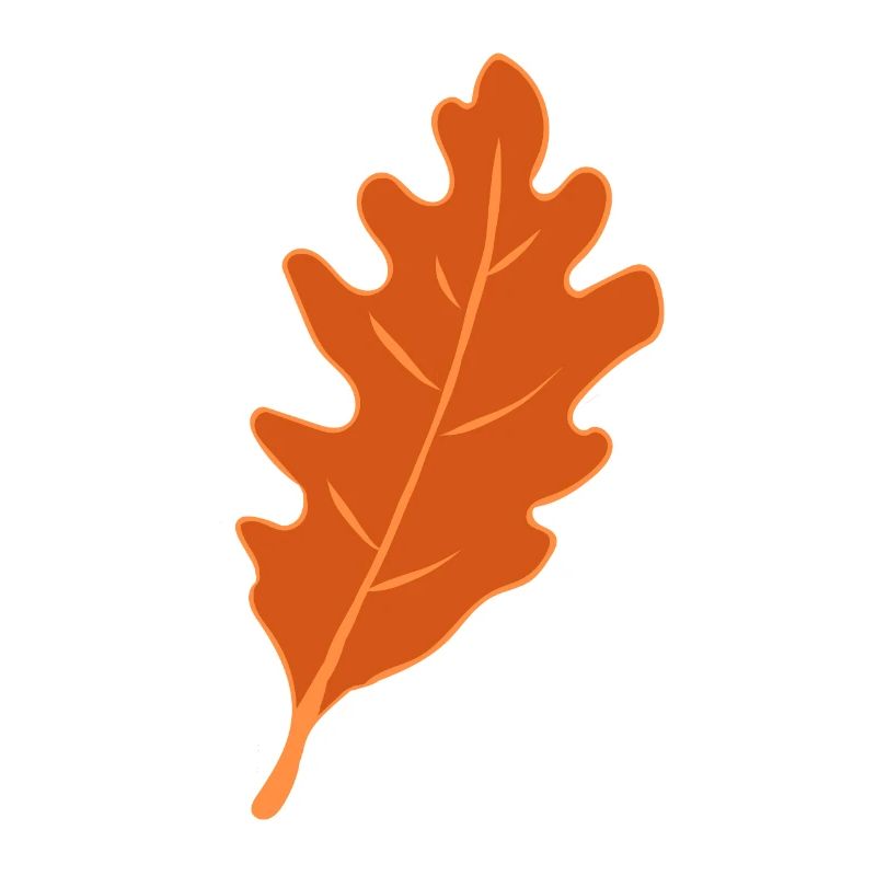 Eiche - Eichenblatt - Herbst