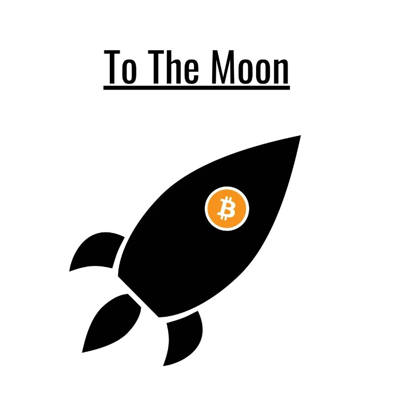 Bitcoin zur Mondrakete