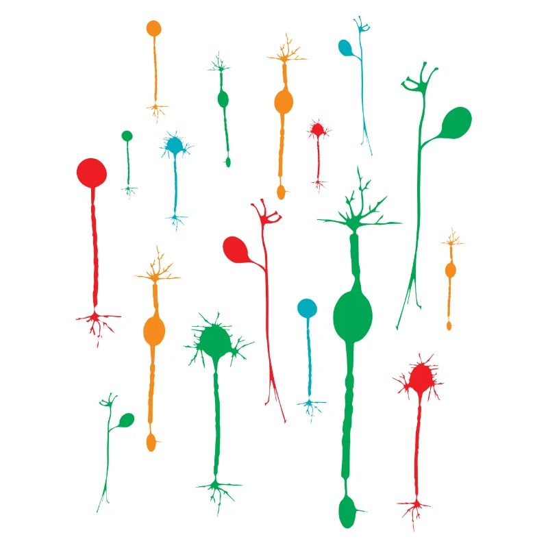 Neuronen Tetrade