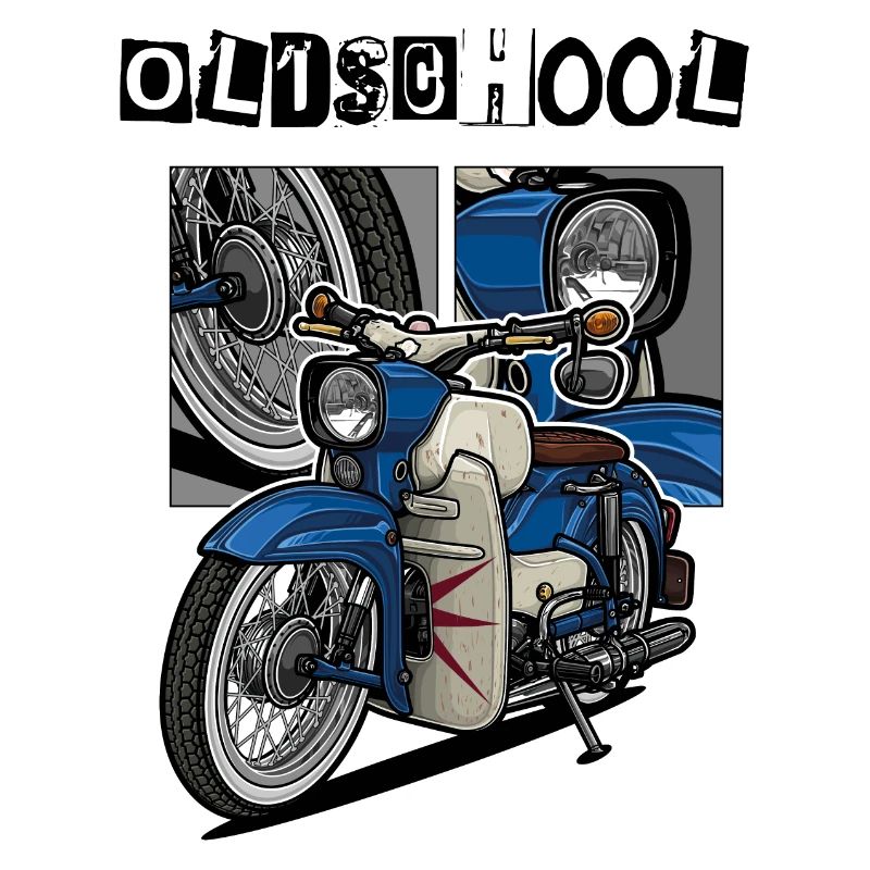 Sperber // Illustration