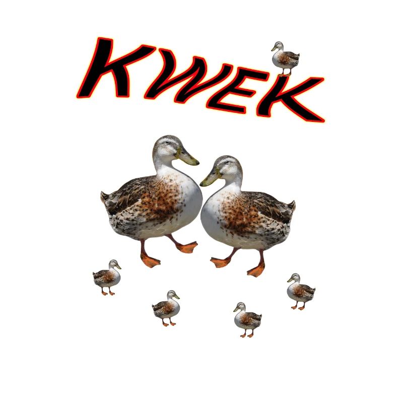 Ente Ente