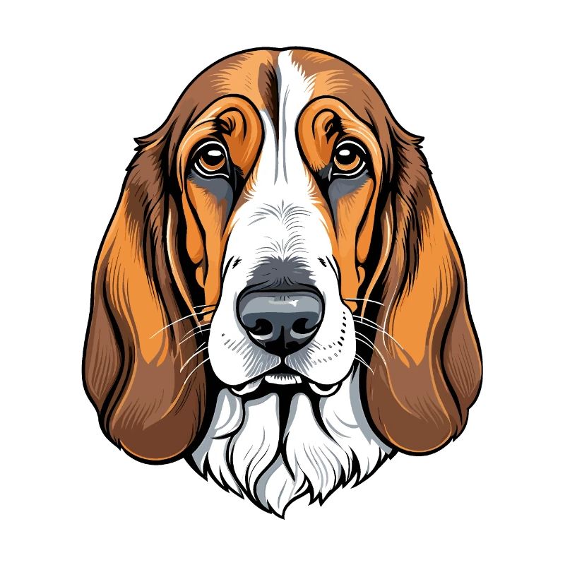 Basset Hund