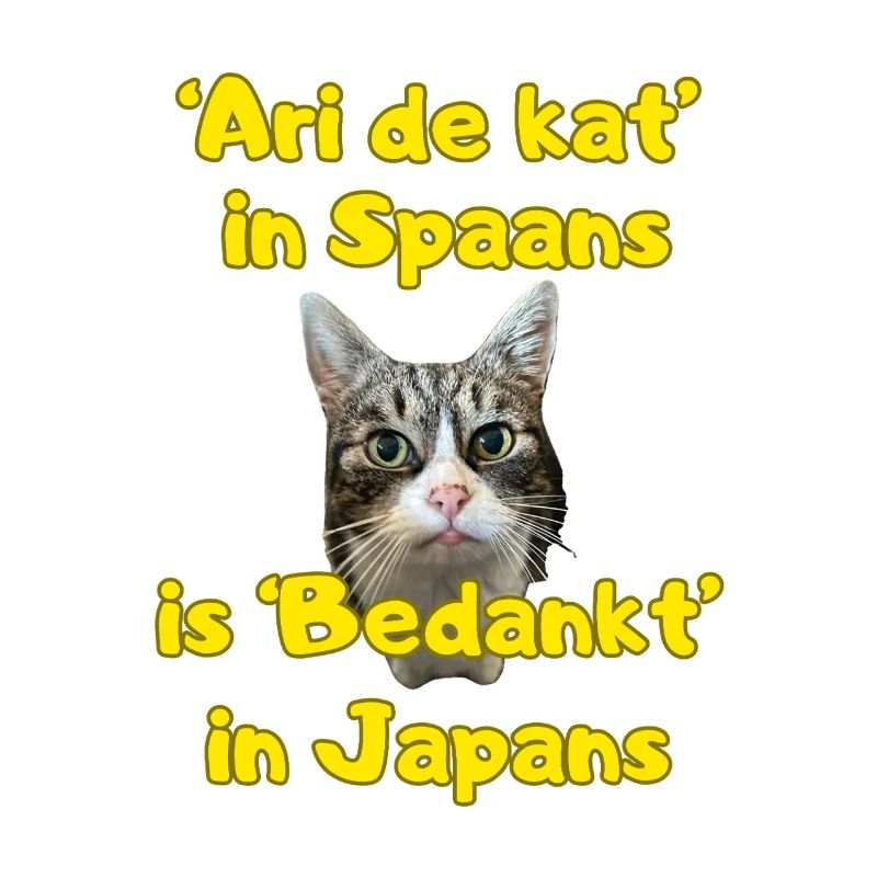 Ari die Katze