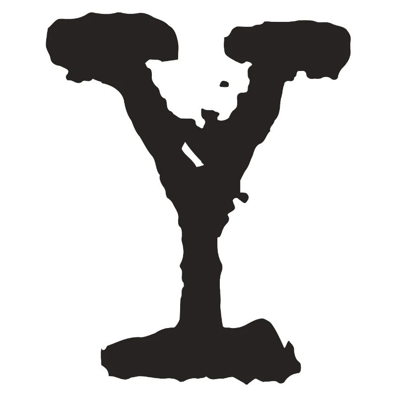 Y