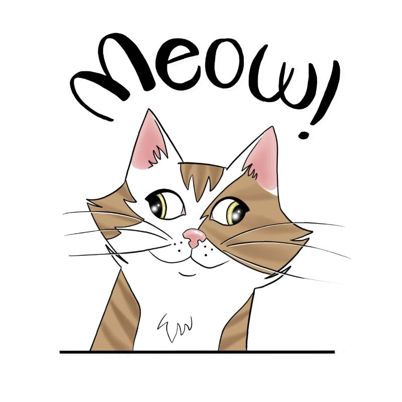 Katze