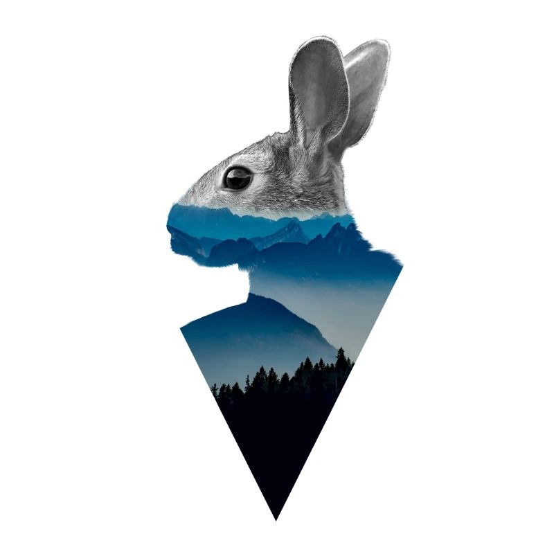 Hase