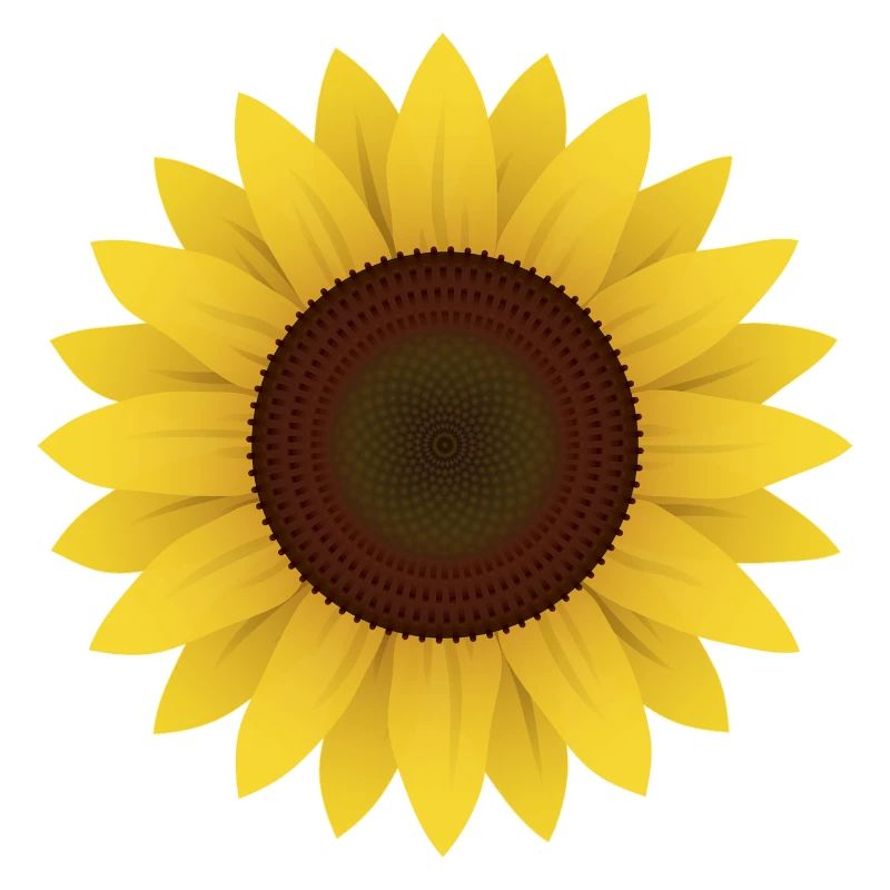 Sonnenblume Geschenk Idee
