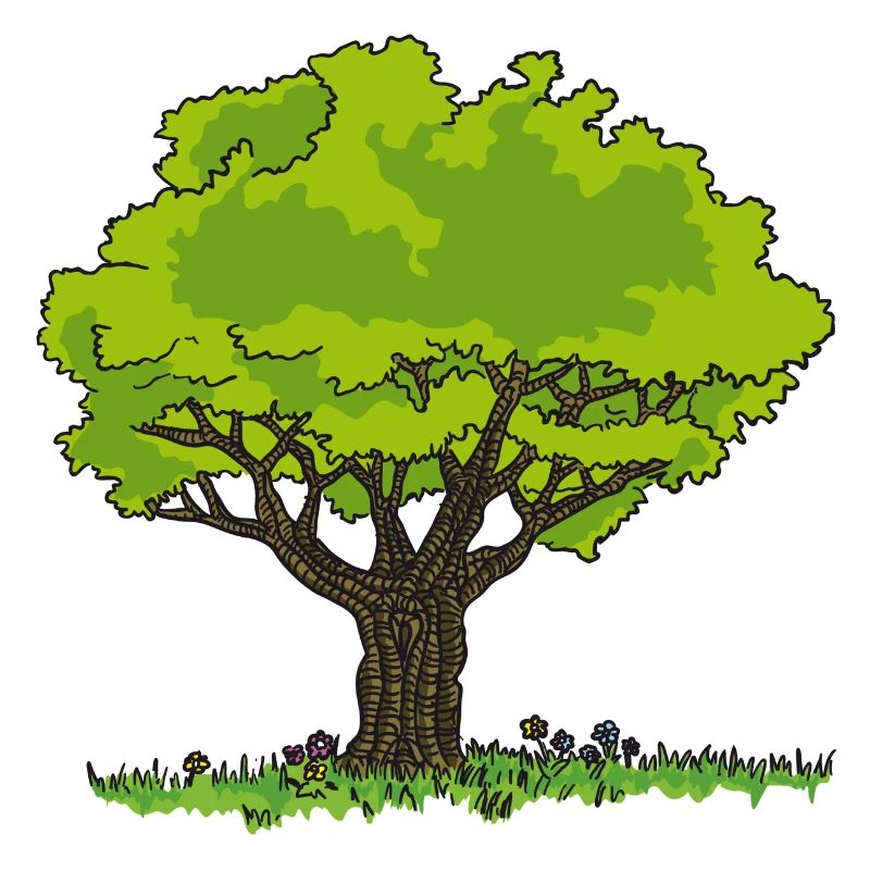 Dessin arbre pré et fleurs