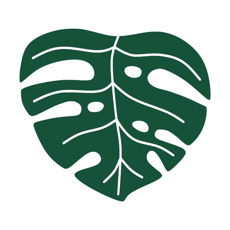 monstera leaf