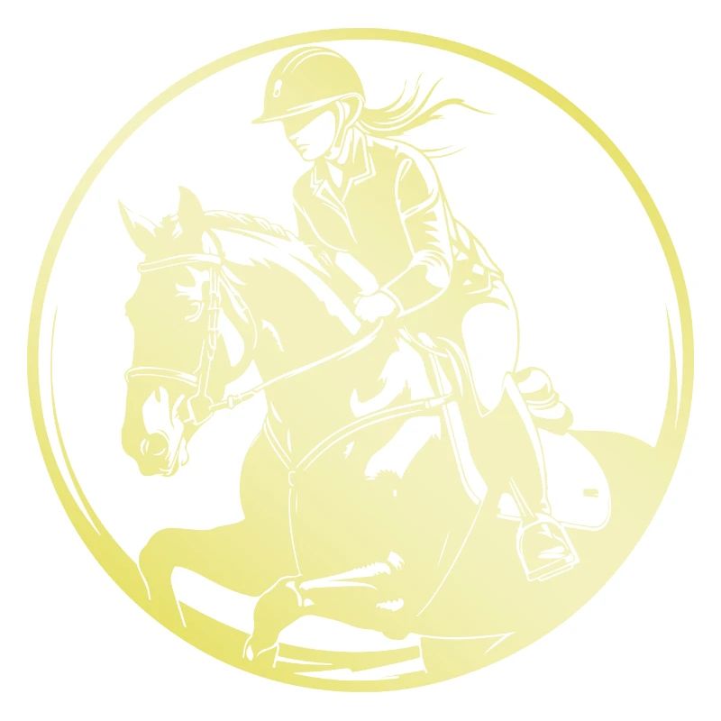 Reiten Pferd Frau