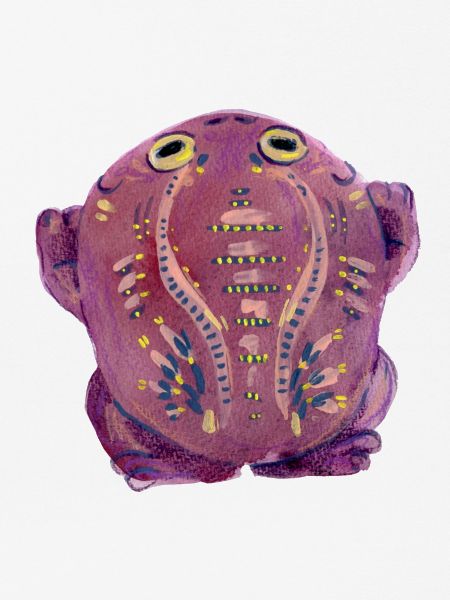 Purple Kröte
