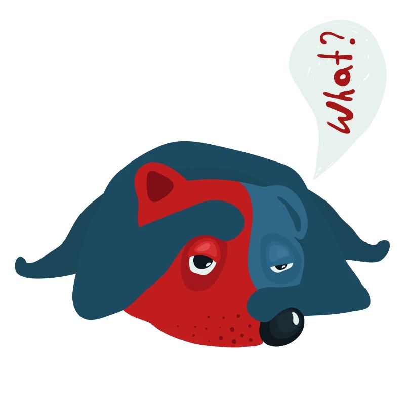 Hund