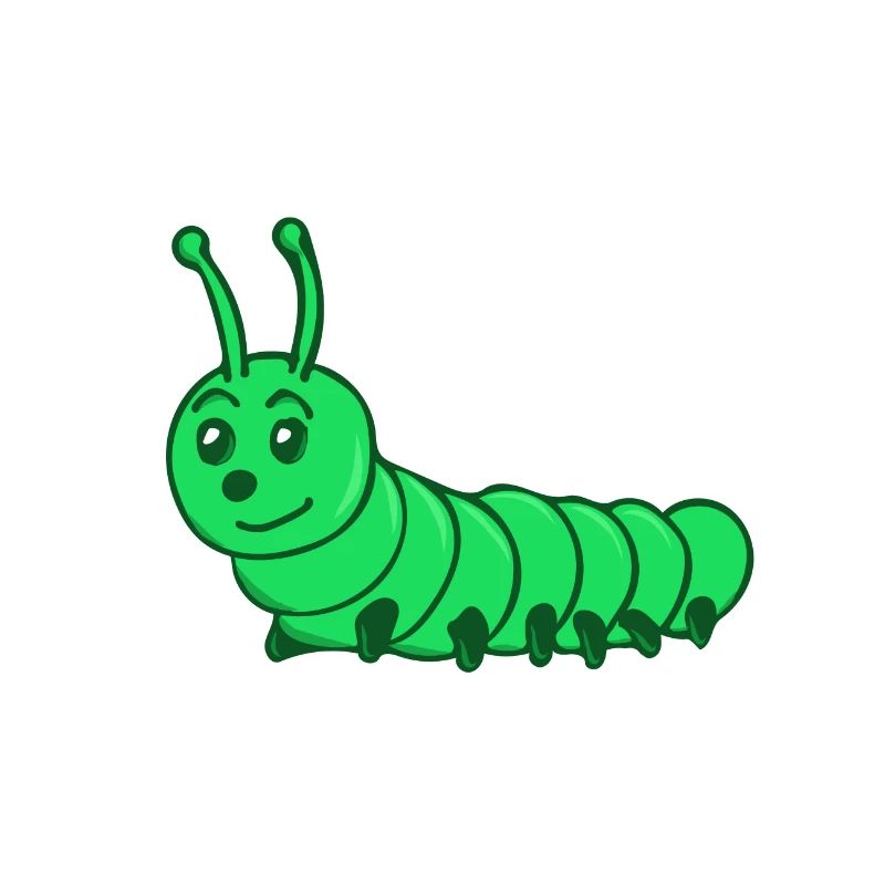 Raupe