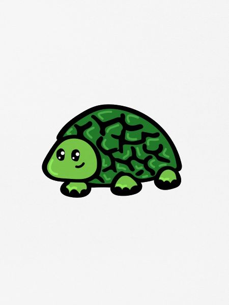 Turtle