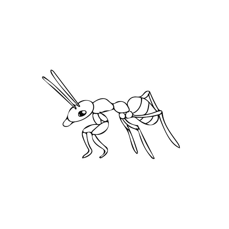 Ant - drawing