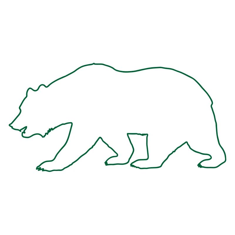 Bär Braunbär Eisbär