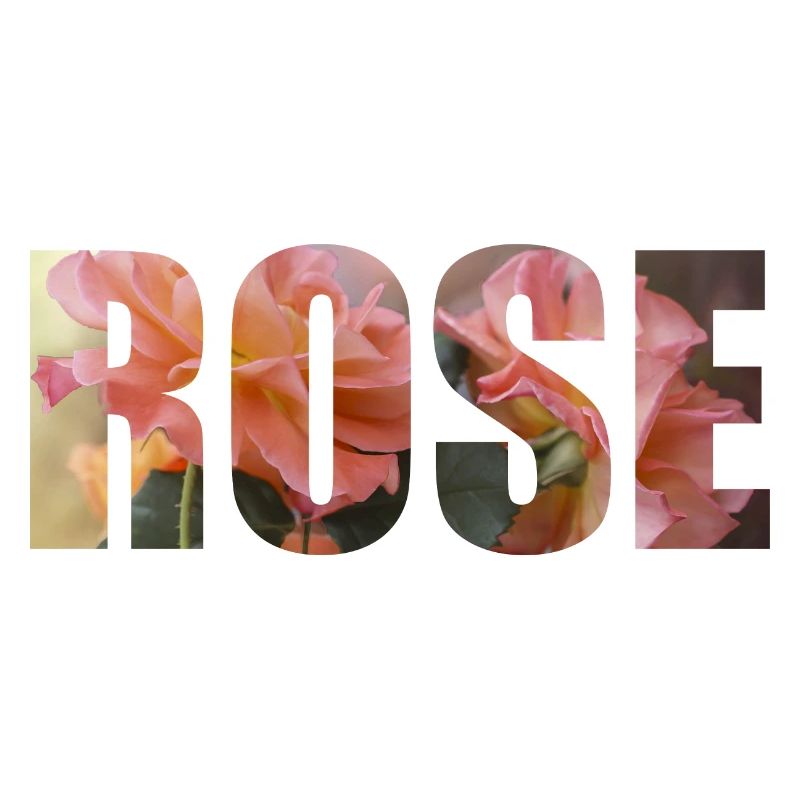 Rose - romantisches Design