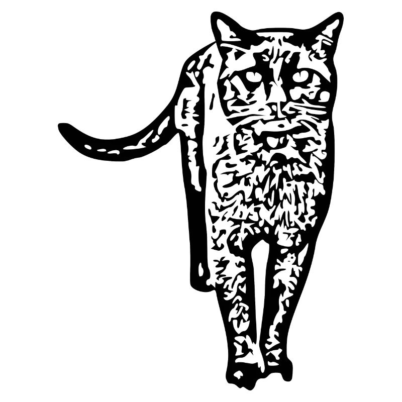 Chat noir Chat Chat Noir Chat Cadeau