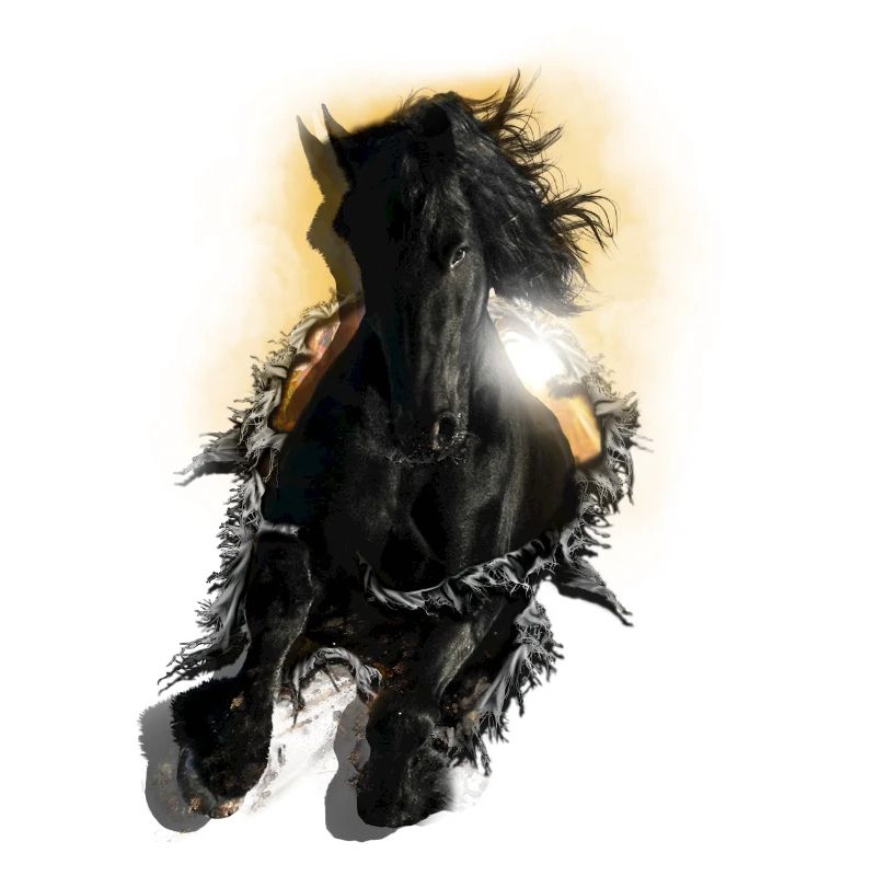 3D Pferd