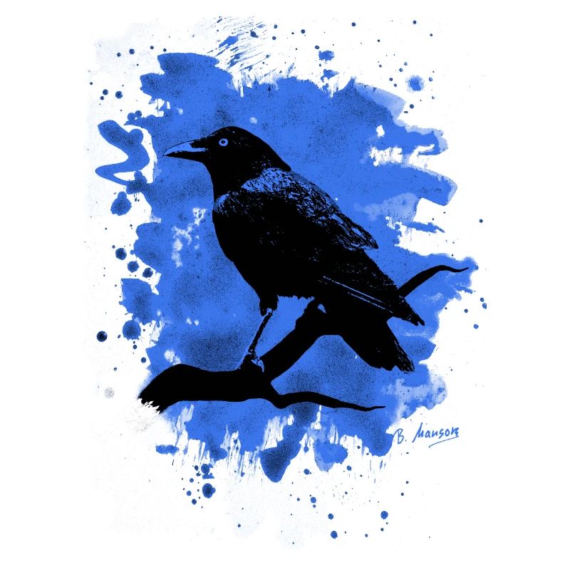 Crow bleached blue