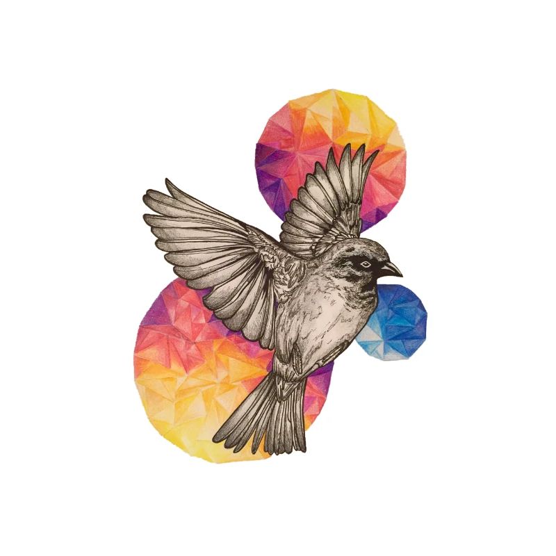 Free Bird