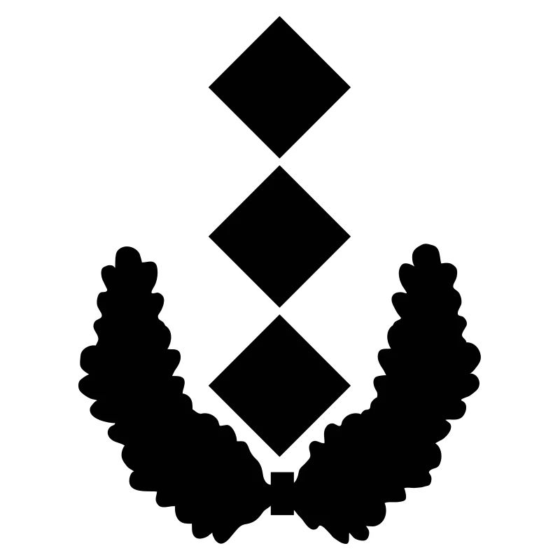Oberst Dienstgrad