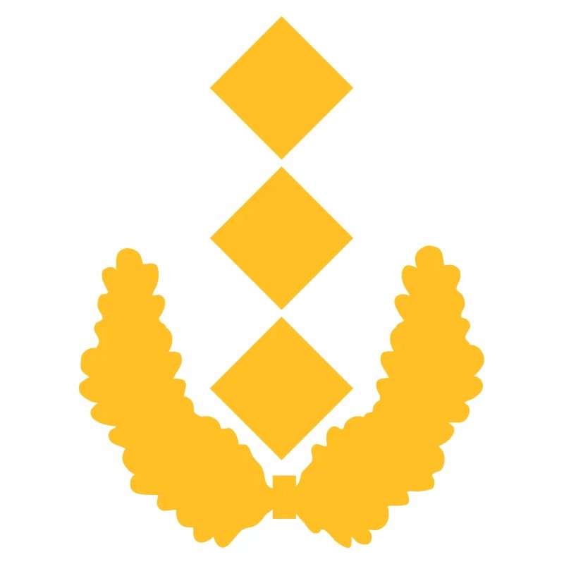Generalleutnant Dienstgrad